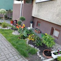 © Spółdzielnia Mieszkaniowa "PIAST" w Barlinku